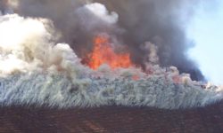 Aperture: 5 Camera: KODAK CX7525 ZOOM DIGITAL CAMERA Orientation: 1 022