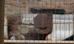 Aperture: 6 Camera: DSC-HX300 Iso: 125 Orientation: 1 DSC01273