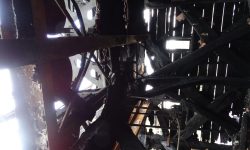 Aperture: 3 Camera: DSC-HX300 Iso: 320 Orientation: 6 DSC01342