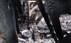 Aperture: 3 Camera: DSC-HX300 Iso: 800 Orientation: 1 DSC01348