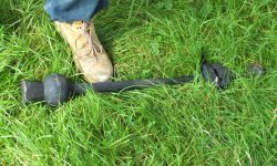 Aperture: 4 Camera: FinePix HS20EXR Iso: 160 Orientation: 1 DSCF1250