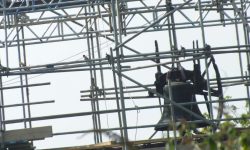 Aperture: 6 Camera: FinePix HS20EXR Iso: 100 Orientation: 1 DSCF1333