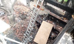 Aperture: 3 Camera: COOLPIX S9500 Iso: 125 Orientation: 1 DSCN1856