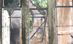 Aperture: 6 Camera: Canon DIGITAL IXUS 100 IS Iso: 250 Orientation: 1 IMG 2236