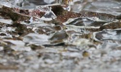 Aperture: 6 Camera: Canon EOS 500D Iso: 100 Orientation: 6 IMG 8469