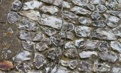 Aperture: 7 Camera: Canon EOS 500D Iso: 100 Orientation: 1 IMG 8472