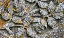 Aperture: 5 Camera: Canon EOS 500D Iso: 100 Orientation: 8 IMG 8479