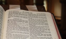 Aperture: 5 Camera: Canon EOS 500D Iso: 400 Orientation: 1 IMG 8481