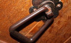 Aperture: 5 Camera: Canon EOS 500D Iso: 400 Orientation: 1 IMG 8486