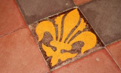 Aperture: 5 Camera: Canon EOS 500D Iso: 400 Orientation: 1 IMG 8487