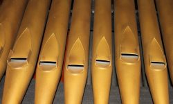 Aperture: 5 Camera: Canon EOS 500D Iso: 400 Orientation: 1 IMG 8490