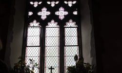 Aperture: 6 Camera: Canon EOS 500D Iso: 100 Orientation: 1 IMG 8497