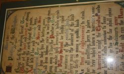 Aperture: 4 Camera: Canon EOS 450D Iso: 400 Orientation: 6 IMG 9891