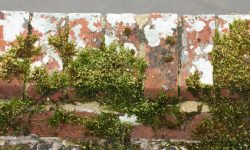 Aperture: 6 Camera: Canon EOS 450D Iso: 400 Orientation: 1 IMG 9894-2