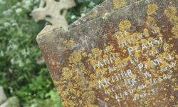 Aperture: 6 Camera: Canon EOS 450D Iso: 400 Orientation: 1 IMG 9905-2