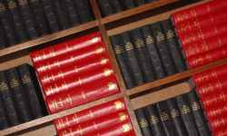 Aperture: 4 Camera: Canon EOS 450D Iso: 400 Orientation: 1 IMG 9908-2