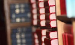 Aperture: 5 Camera: Canon EOS 450D Iso: 400 Orientation: 1 IMG 9915-2