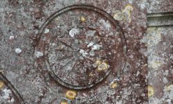 Aperture: 6 Camera: Canon EOS 450D Iso: 200 Orientation: 1 IMG 9926-2