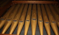 Aperture: 4 Camera: Canon EOS 450D Iso: 400 Orientation: 1 IMG 9926