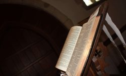 Aperture: 4 Camera: Canon EOS 450D Iso: 400 Orientation: 1 IMG 9929