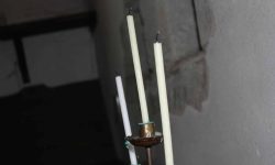 Aperture: 5 Camera: Canon EOS 450D Iso: 400 Orientation: 1 IMG 9942