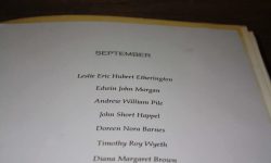 Aperture: 6 Camera: Canon EOS 450D Iso: 400 Orientation: 1 IMG 9944