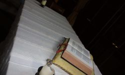 Aperture: 4 Camera: Canon EOS 450D Iso: 400 Orientation: 1 IMG 9947