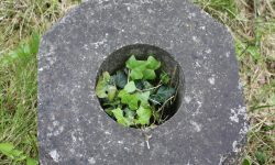 Aperture: 7 Camera: Canon EOS 450D Iso: 200 Orientation: 1 IMG 9953