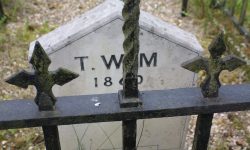 Aperture: 8 Camera: Canon EOS 450D Iso: 200 Orientation: 1 IMG 9954