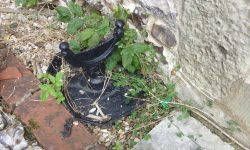 Aperture: 3 Camera: Samsung S1065 Iso: 50 Copyright: Copyright 2008 Orientation: 1 O57b-087