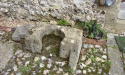 Aperture: 3 Camera: Samsung S1065 Iso: 50 Copyright: Copyright 2008 Orientation: 1 O57b-088