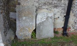 Aperture: 3 Camera: Samsung S1065 Iso: 50 Copyright: Copyright 2008 Orientation: 1 O57b-093