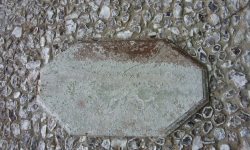 Aperture: 3 Camera: Samsung S1065 Iso: 50 Copyright: Copyright 2008 Orientation: 1 O57b-101