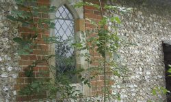 Aperture: 3 Camera: Samsung S1065 Iso: 50 Copyright: Copyright 2008 Orientation: 1 O57b-105