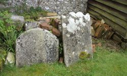 Aperture: 3 Camera: Samsung S1065 Iso: 50 Copyright: Copyright 2008 Orientation: 1 O57b-113