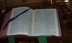 Aperture: 3 Camera: Samsung S1065 Iso: 200 Copyright: Copyright 2008 Orientation: 1 O57b-137