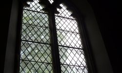 Aperture: 3 Camera: Samsung S1065 Iso: 50 Copyright: Copyright 2008 Orientation: 1 O57b-233