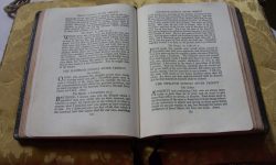 Aperture: 3 Camera: Samsung S1065 Iso: 100 Copyright: Copyright 2008 Orientation: 1 O57b-250