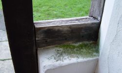 Aperture: 3 Camera: CYBERSHOT Iso: 100 Orientation: 1 StPeters191202c-003