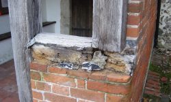 Aperture: 3 Camera: CYBERSHOT Iso: 100 Orientation: 1 StPeters191202c-004