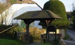 Aperture: 4 Camera: CYBERSHOT Iso: 100 Orientation: 1 StPeters191202c-009